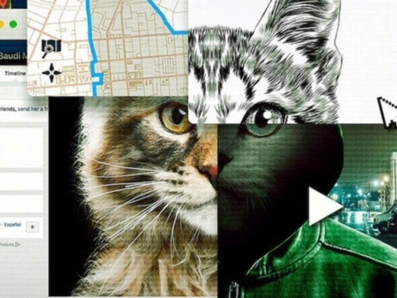 Don’t F*ck With Cats / Coronavirus /&nbsp;Whiteness